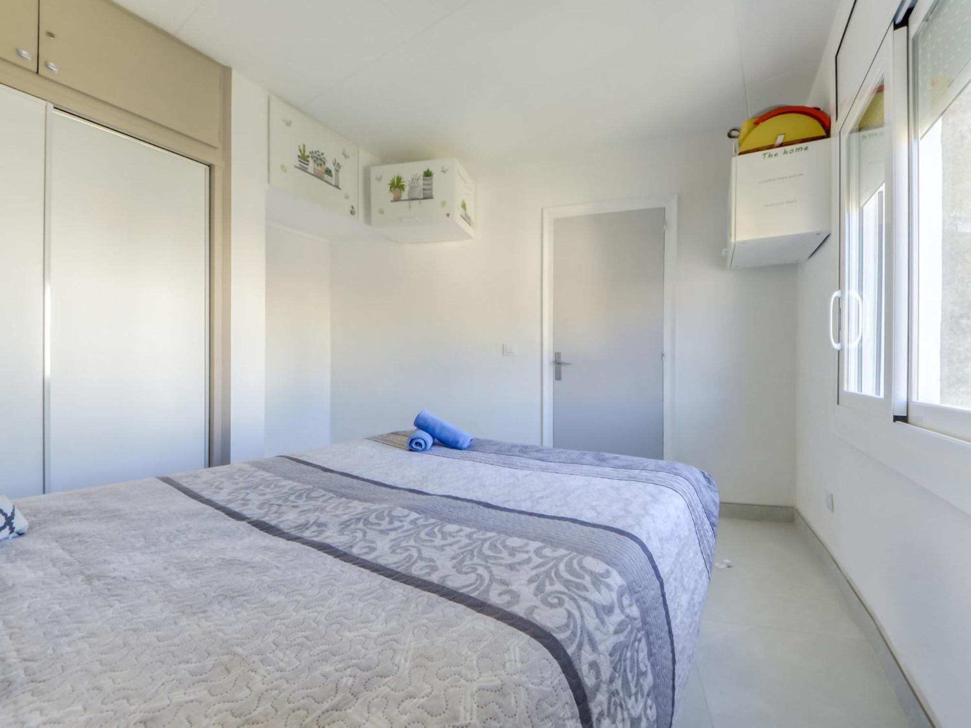 Palmeras By Interhome Roses